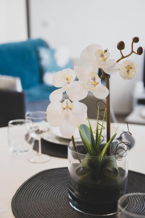 La Cantonade - Nice T2 With Garage For 4 People Near Beach آنسي المظهر الخارجي الصورة
